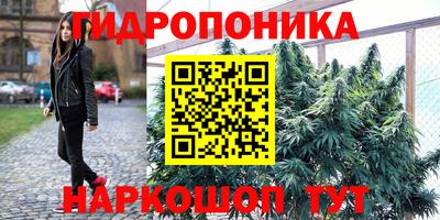 стаф Северобайкальск