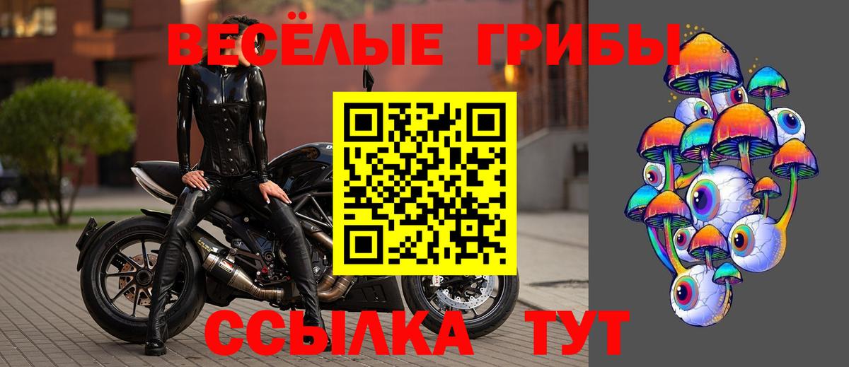 Псилоцибиновые грибы ЛСД  Вход с VPN  Сарапул  Галлюциногенные грибы Cubensis 